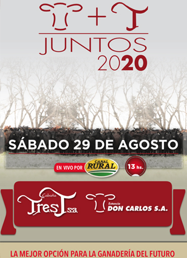 Catalogo Juntos 2020
