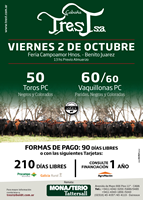 FLYER 2015 CABAÑA TRES T