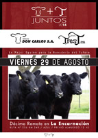 JUNTOS 2014 CABAÑA TRES T