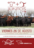 JUNTOS 2016 CABAÑA TRES T